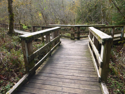 Wetland boardwalk intersection –  overlook on left – boardwalk has combination of railings or wooden edge protection